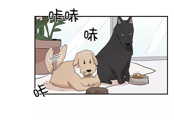 《愿与你共度余生》第36话 第33页