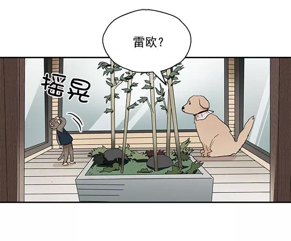 《愿与你共度余生》第38话 第17页