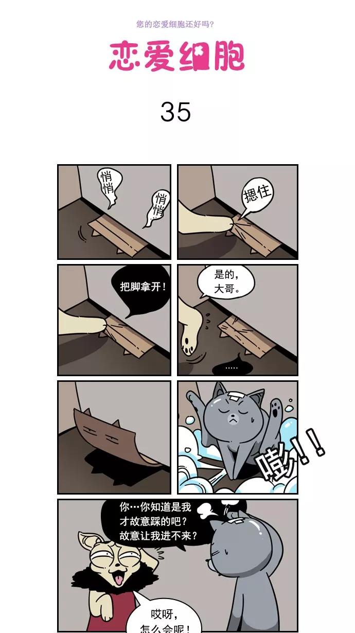 《恋爱细胞》第35话 第2页