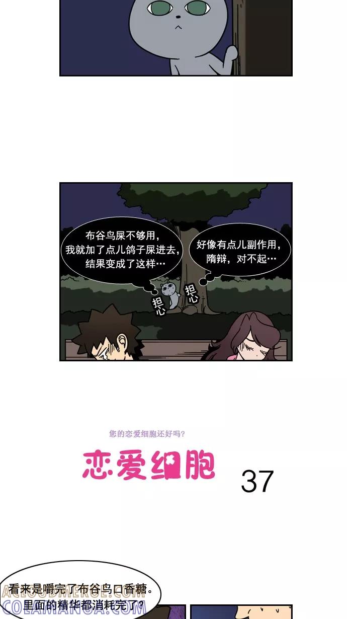 《恋爱细胞》第37话 第5页