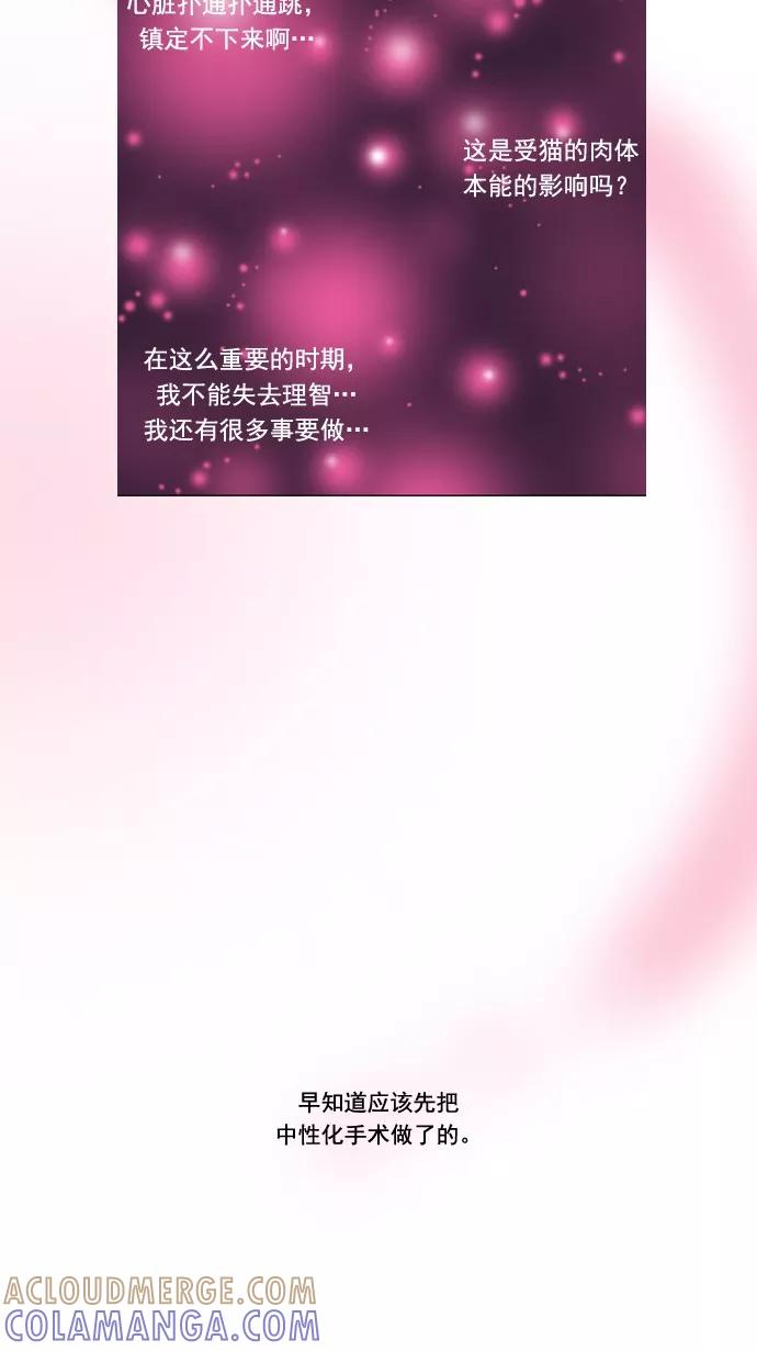 《恋爱细胞》第50话 第9页