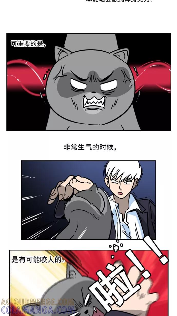 《恋爱细胞》第51话 第11页