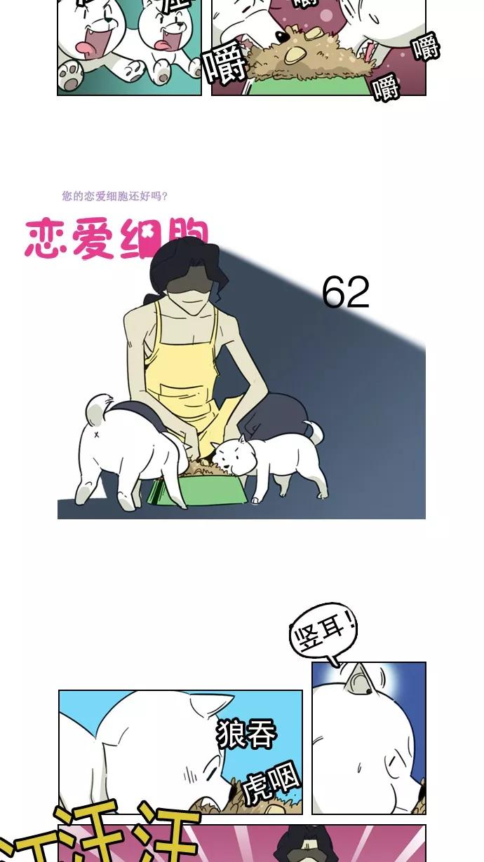 《恋爱细胞》第62话 第4页