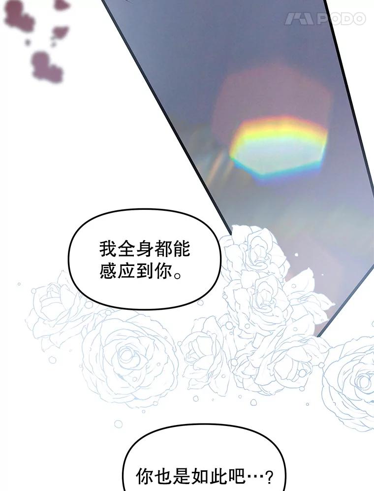 《替吸血鬼吃饭的我》200.奥斯汀抵达 第12页