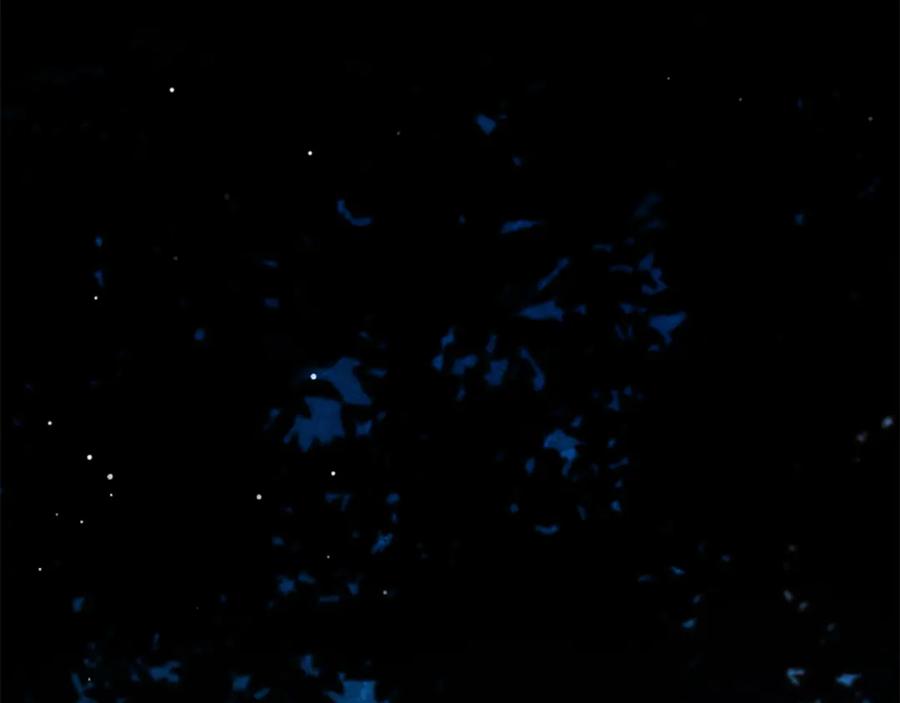 《凡菲尔德的秘密》第21话 恐怖的怪物 第3页