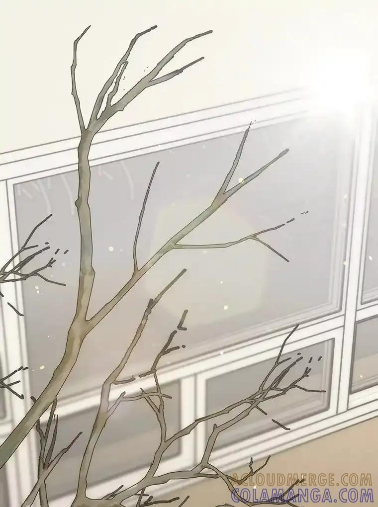 《第二个丈夫》82.音禾毕业了 第21页