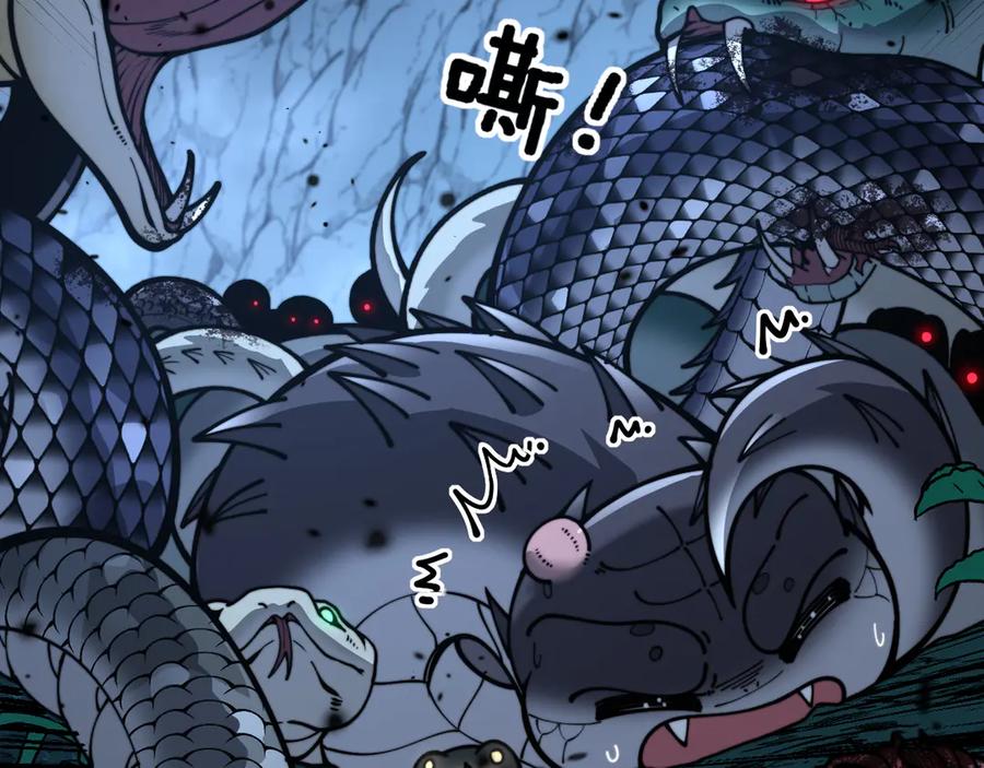 老蛇修仙传（蛇祖） 老黑蛇临终遗愿 第46页