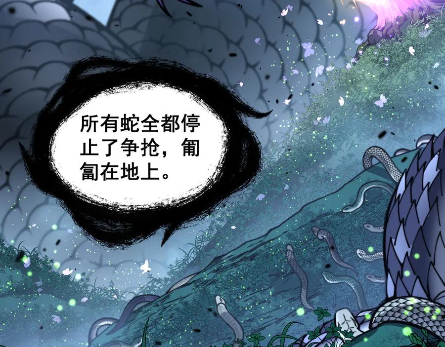 老蛇修仙传（蛇祖） 老黑蛇临终遗愿 第51页
