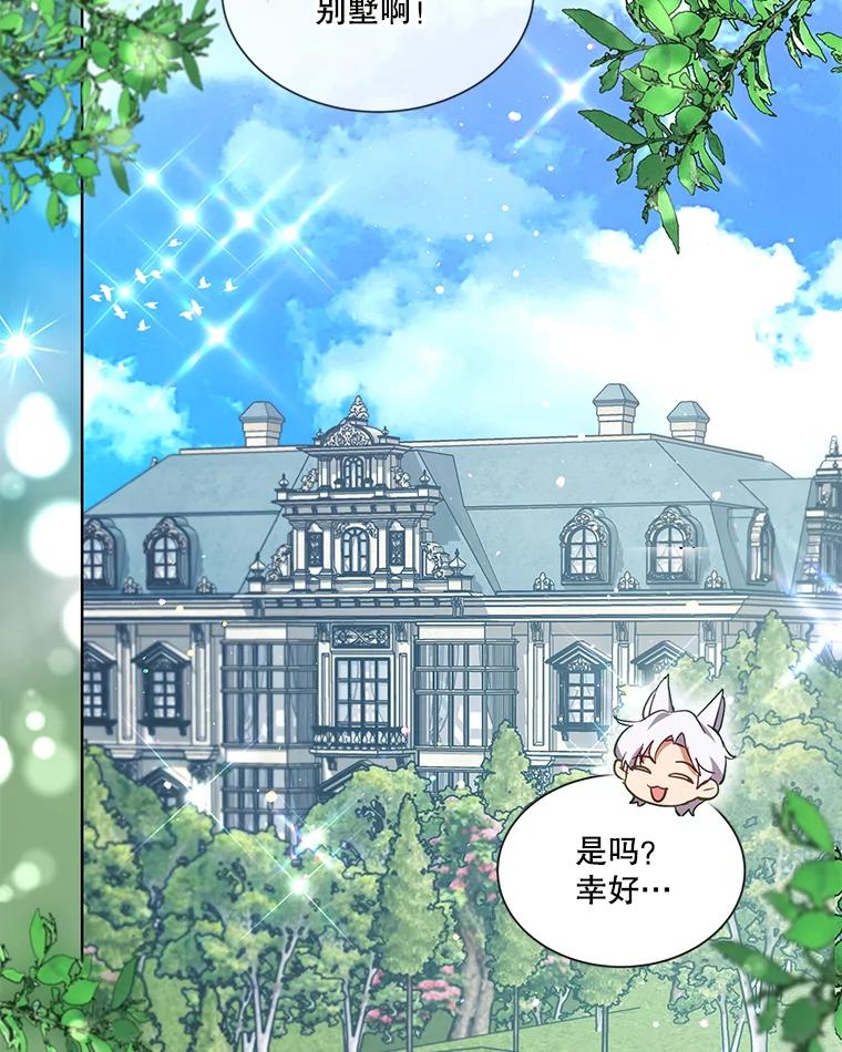 重生为神兽宝宝 - 36.如约而至 - 第47张图