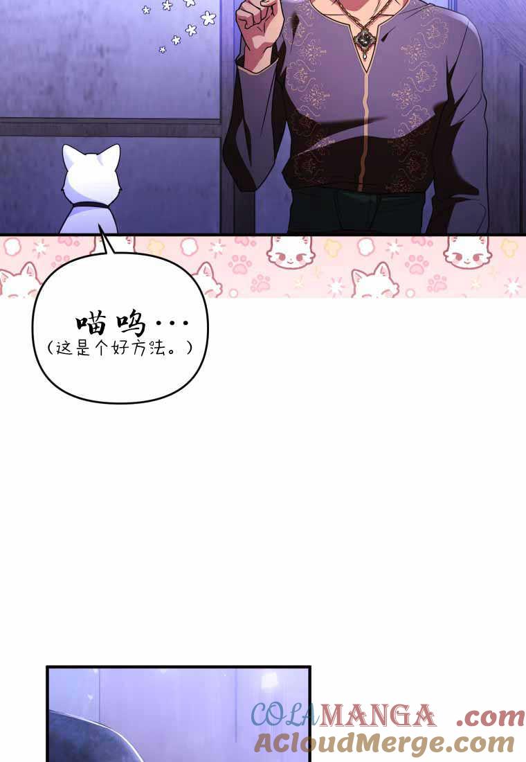 成为苏尔坦珍爱的猫咪 第40话 第70页