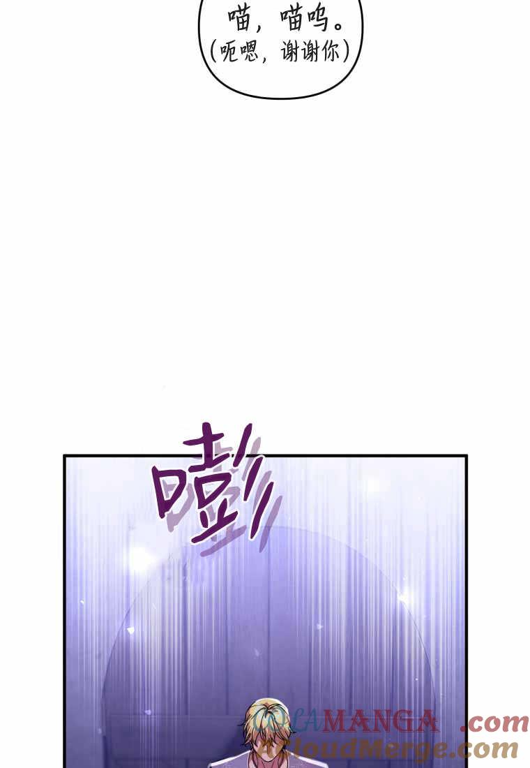 成为苏尔坦珍爱的猫咪 第40话 第73页