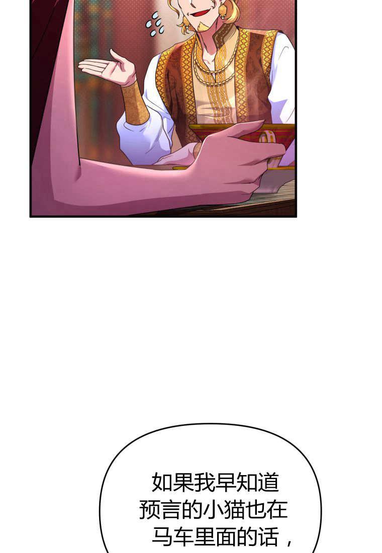 成为苏尔坦珍爱的猫咪 第41话 第26页