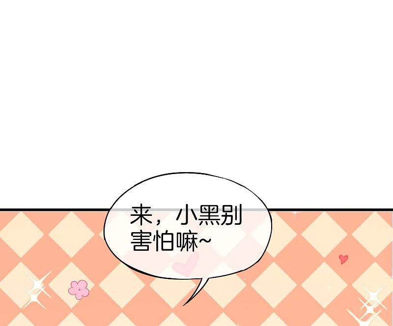 最强仙界朋友圈 第23话 这是我家可爱的小狗狗~ 第2页