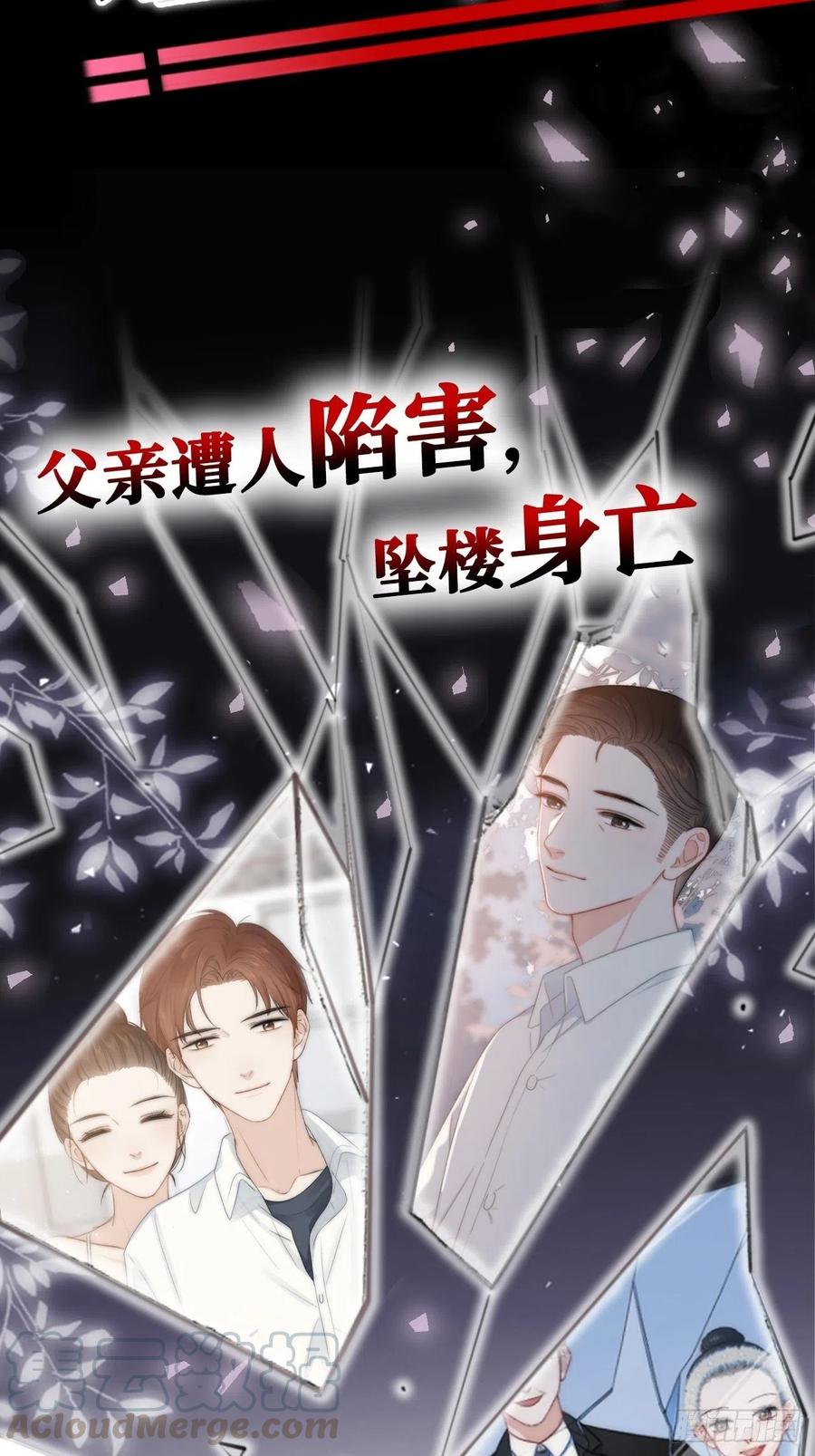 《岳父大人与甄好》96.丢弃的照片 第49页