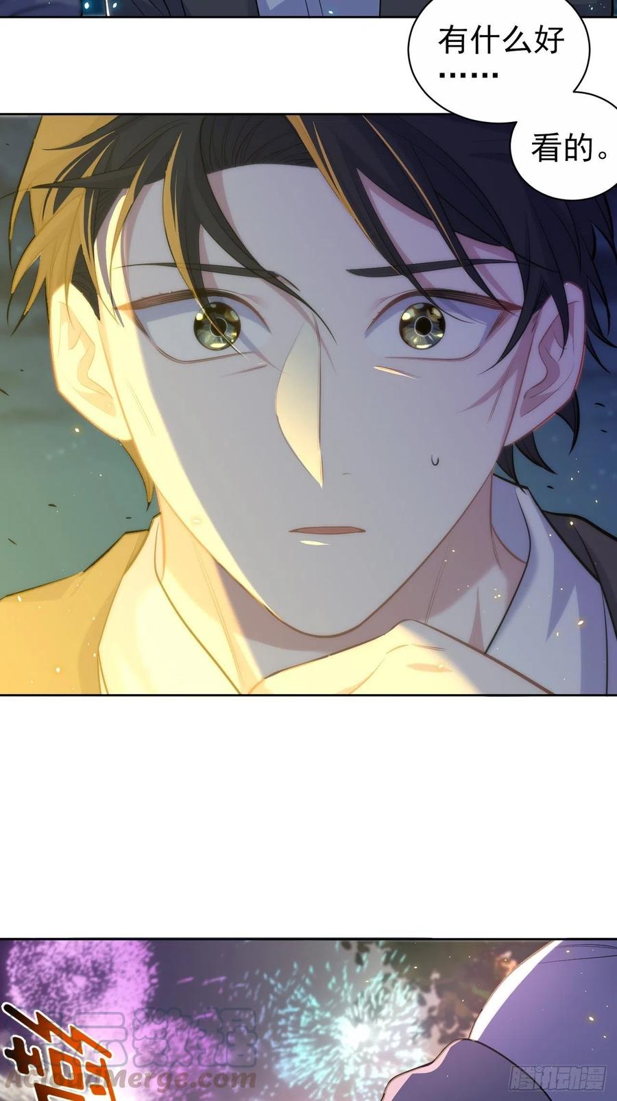 《岳父大人与甄好》106.烟花下的两人 第37页
