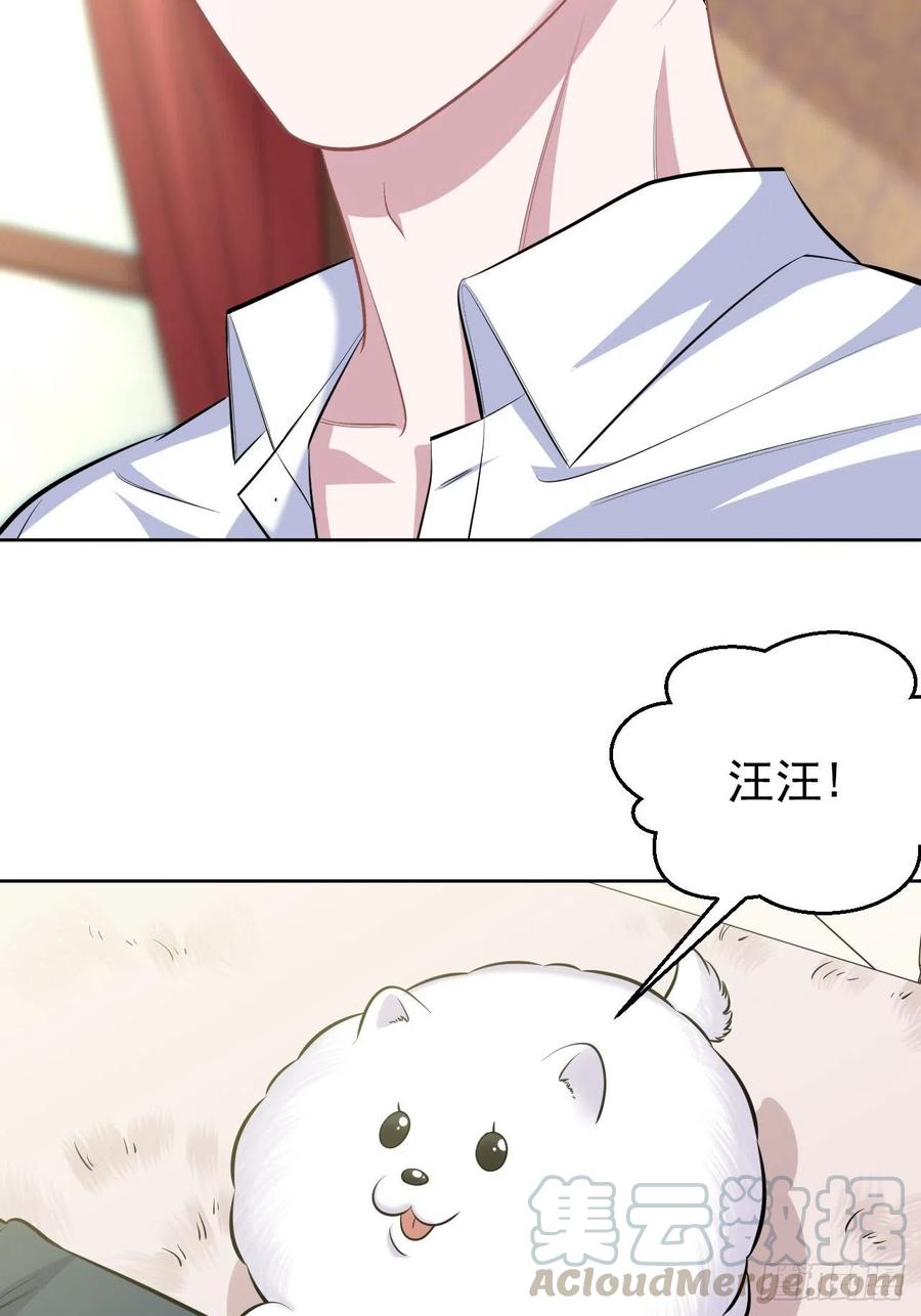 《岳父大人与甄好》108.再见噗噗 第37页