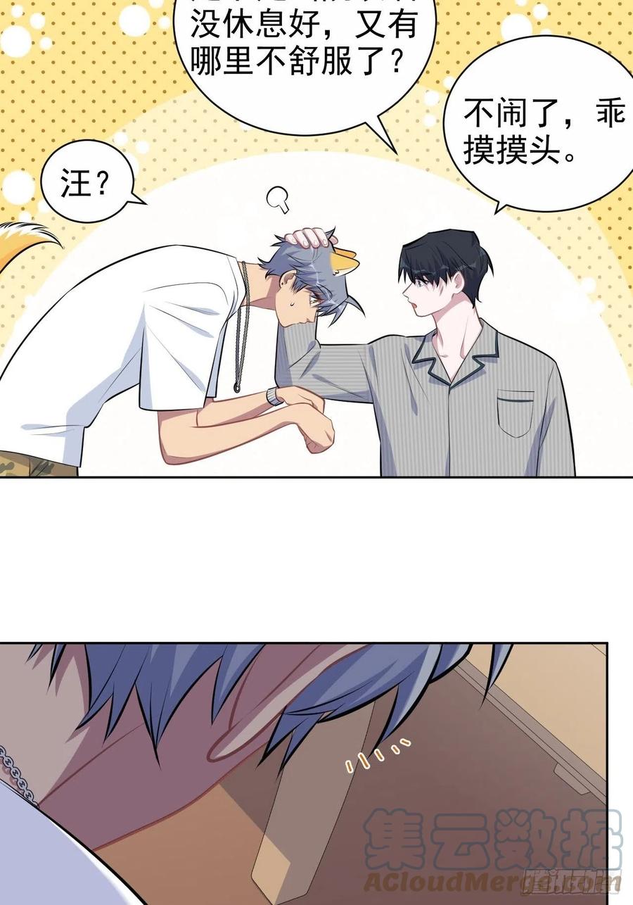 《岳父大人与甄好》145.备忘录 第37页