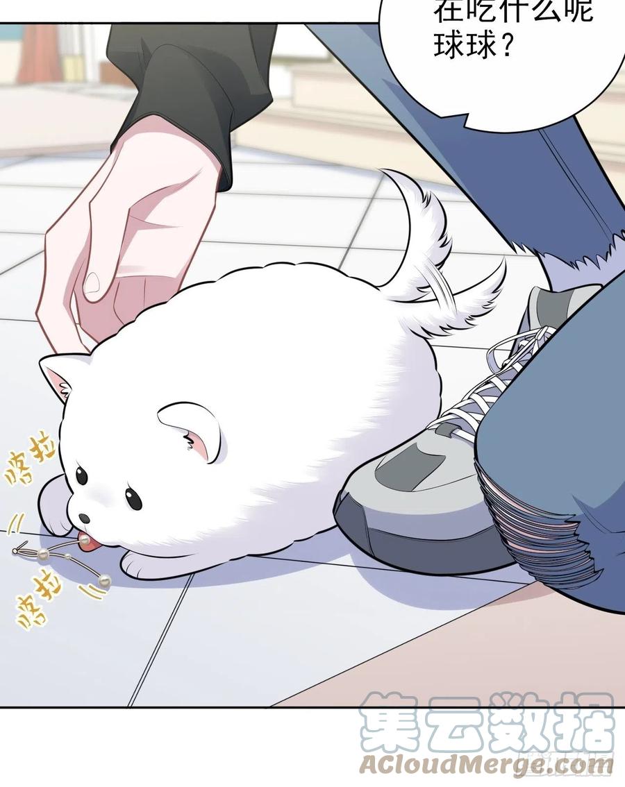 《岳父大人与甄好》168.可能错过的送行 第29页
