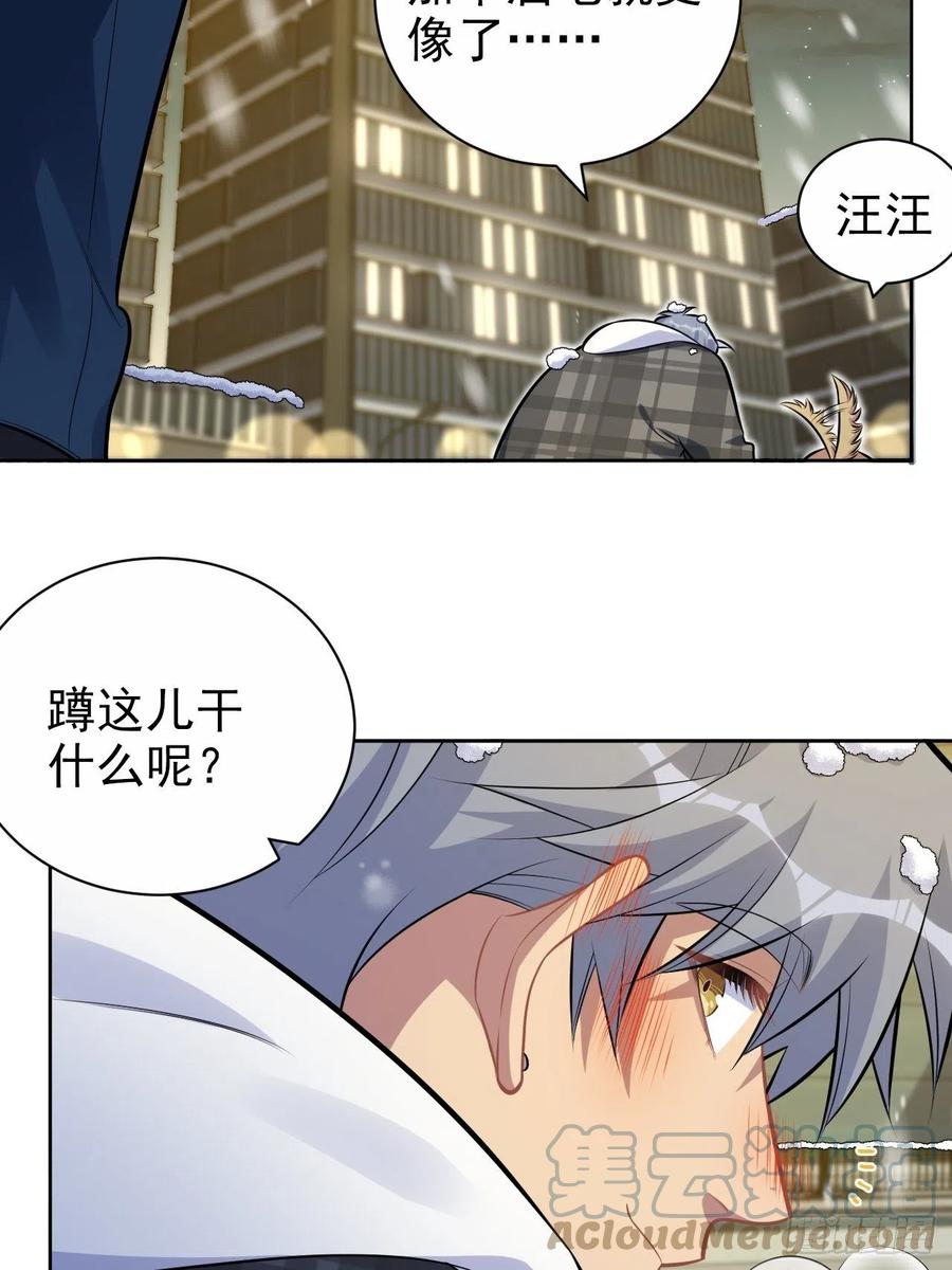 《岳父大人与甄好》175.雪夜 第19页