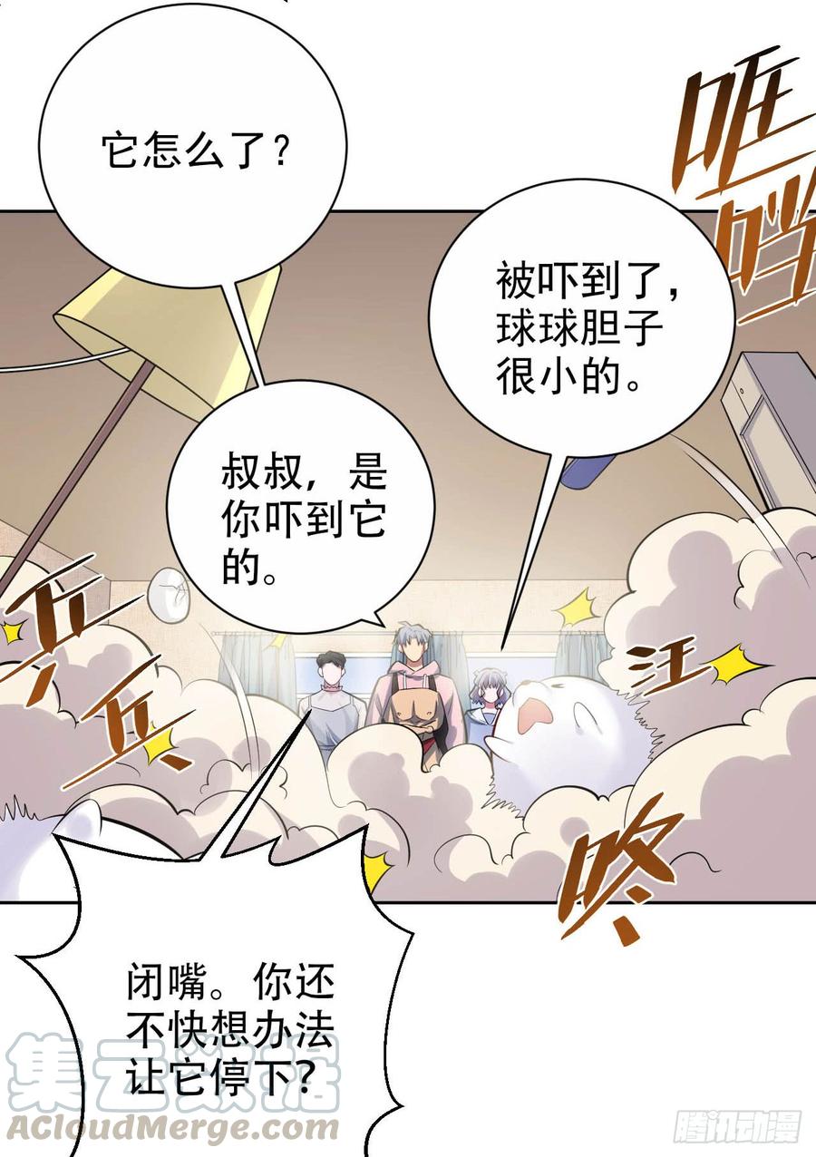 《岳父大人与甄好》25.人间微型自走兵器·球 第9页