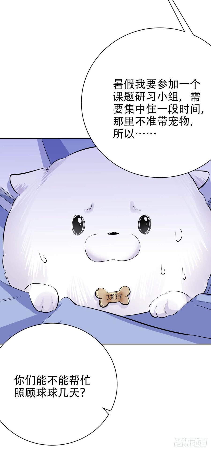 《岳父大人与甄好》26.宠物终结者 第12页