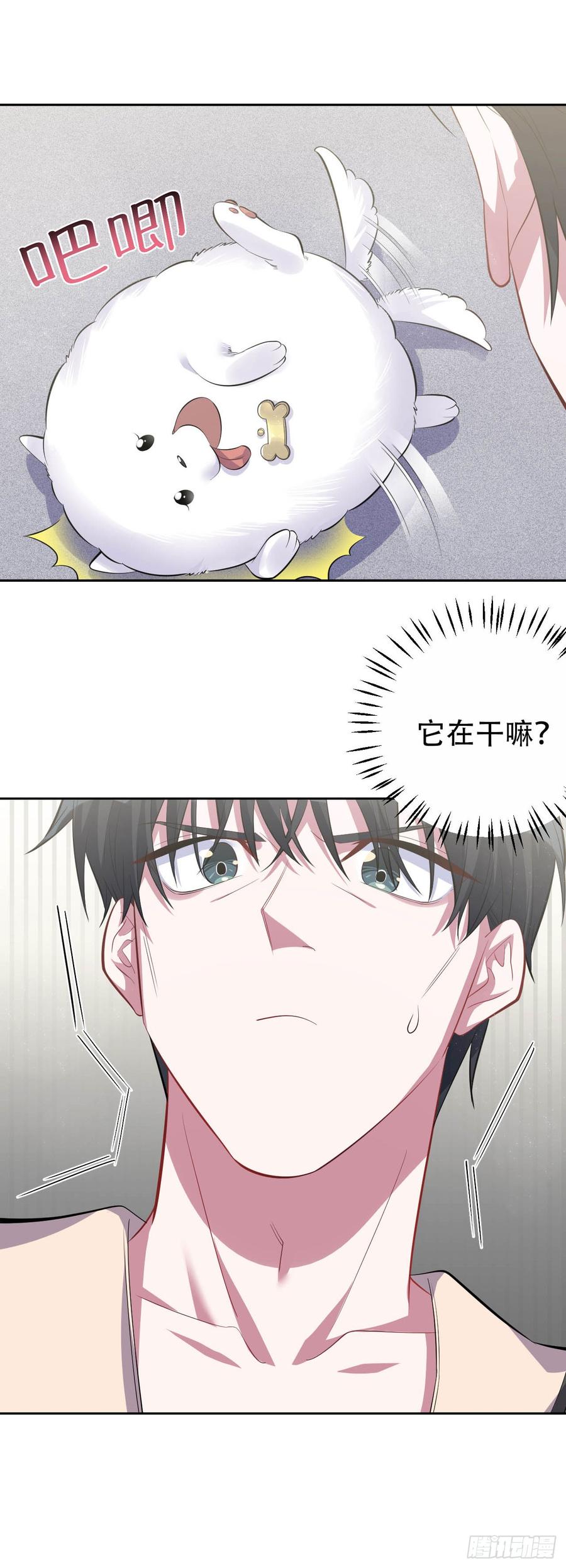 《岳父大人与甄好》27.球球的逆袭！ 第16页