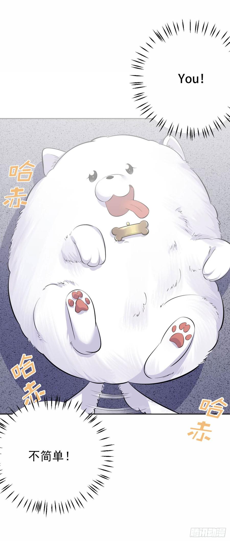 《岳父大人与甄好》27.球球的逆袭！ 第19页