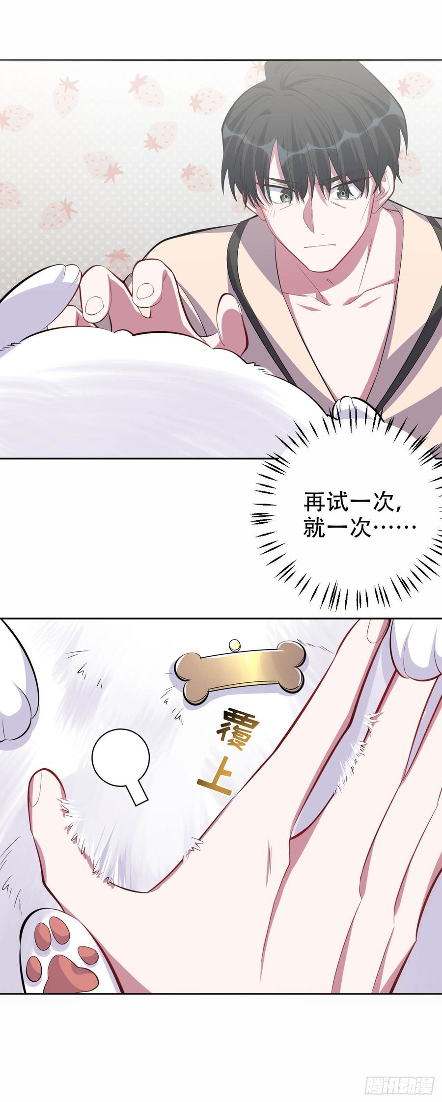 《岳父大人与甄好》27.球球的逆袭！ 第20页