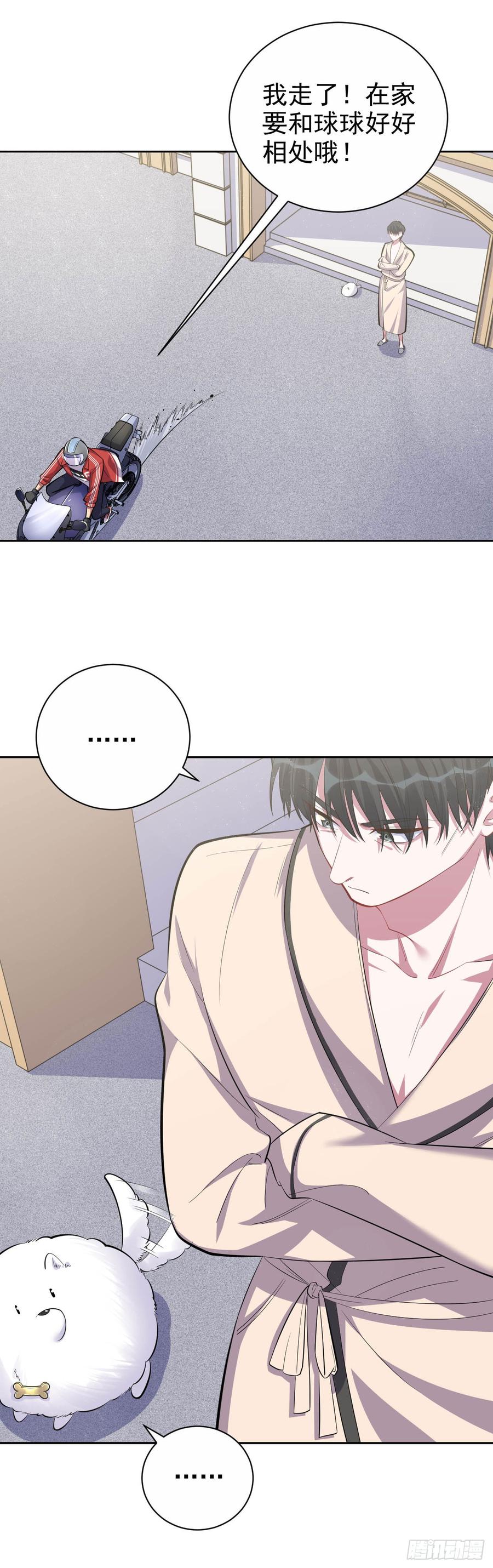 《岳父大人与甄好》27.球球的逆袭！ 第15页