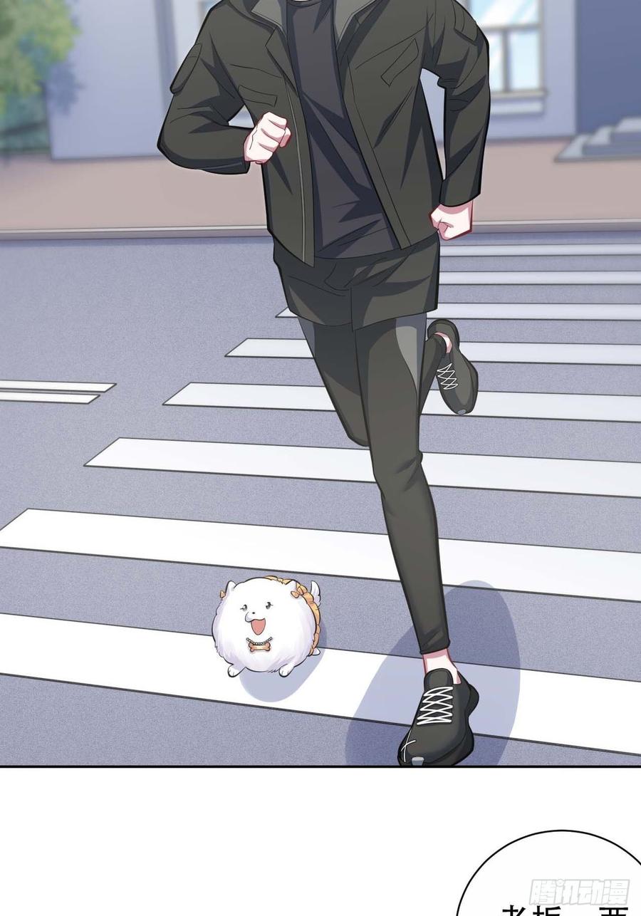 《岳父大人与甄好》31.球球走丢了 第10页