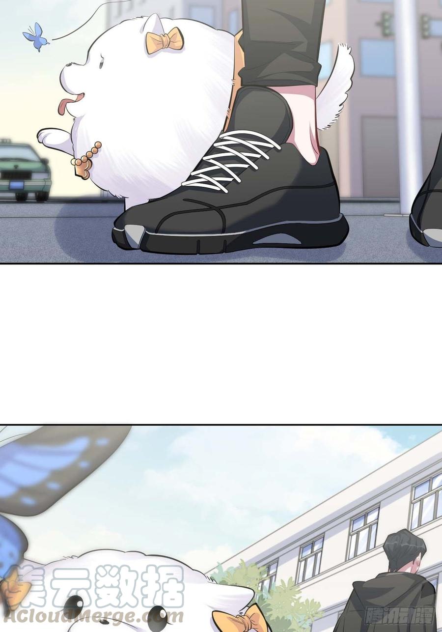 《岳父大人与甄好》31.球球走丢了 第13页
