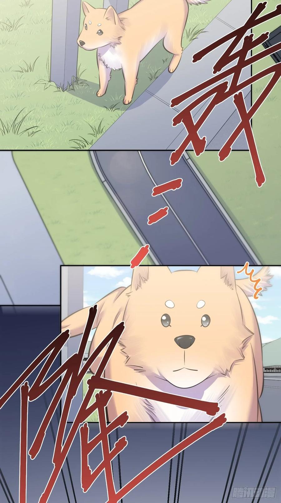 《岳父大人与甄好》58.比赛开始！ 第3页