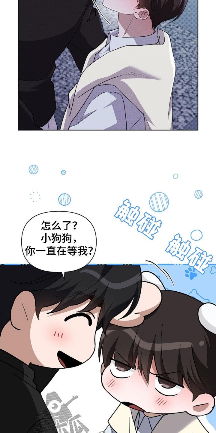8.jpg