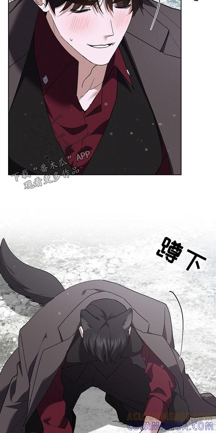 17.jpg
