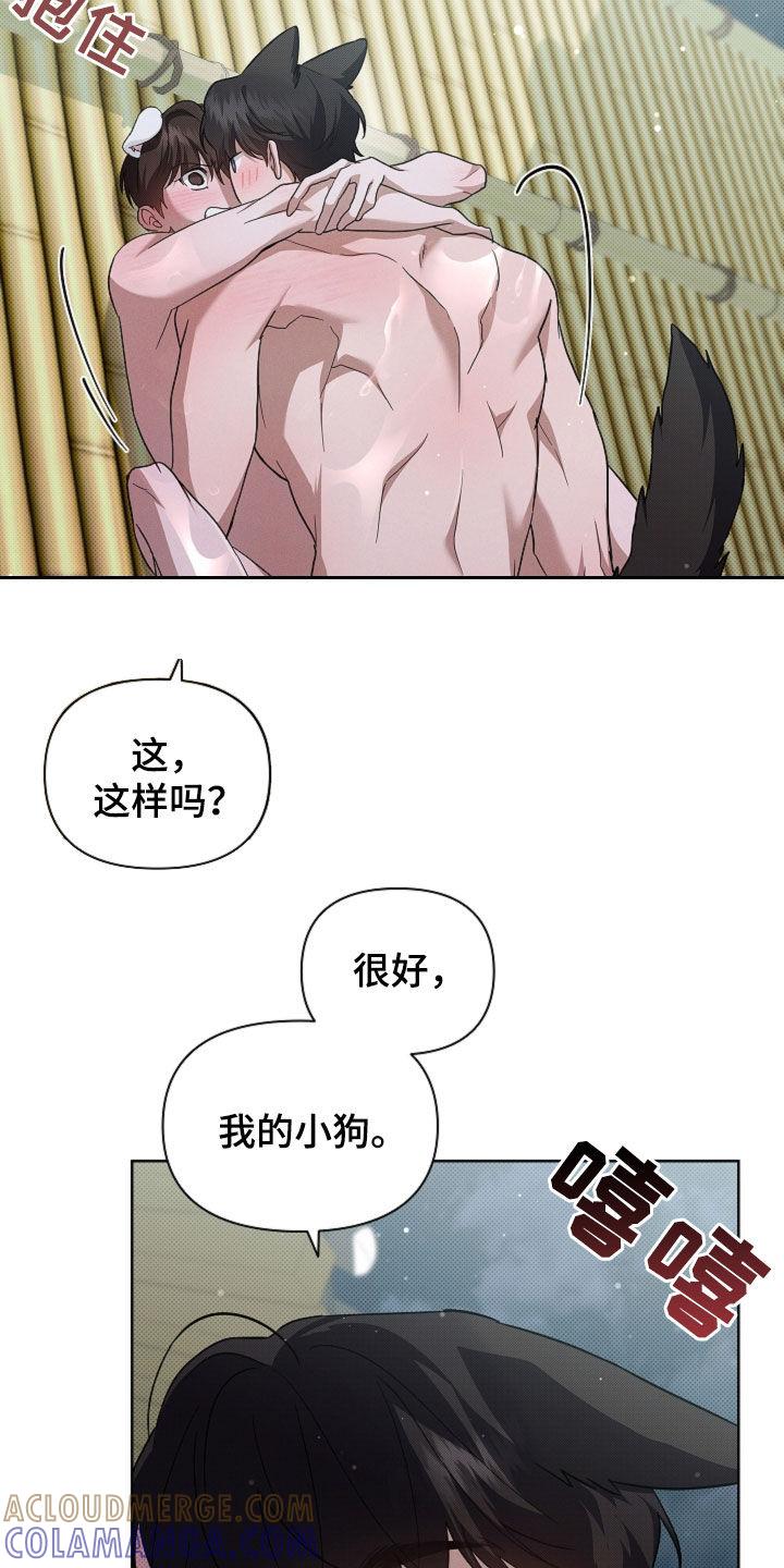 17.jpg