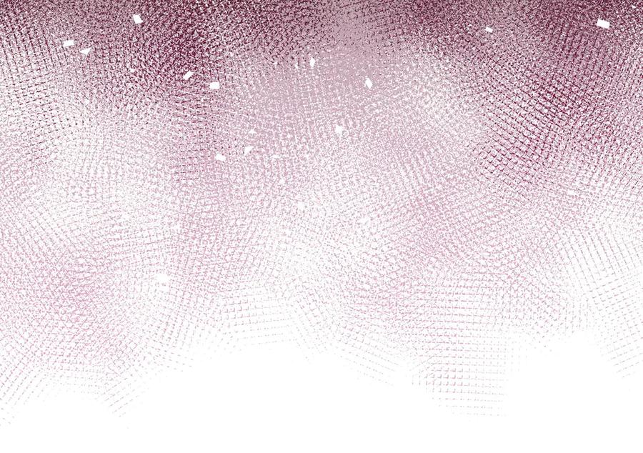 月光图书馆 - 第50话 皇后的青睐 - 第10张图