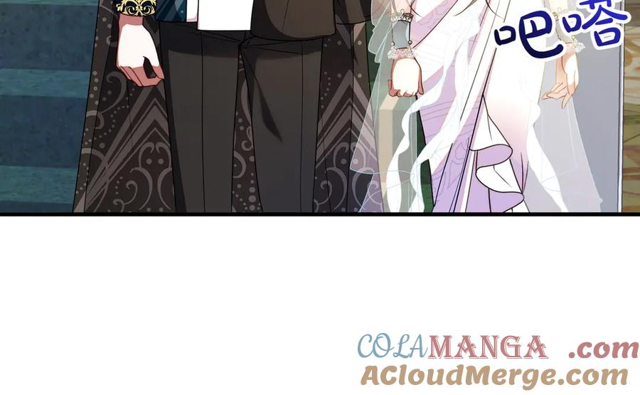 双胞胎姐姐的罢工宣言 第71话 回归宴会 第113页