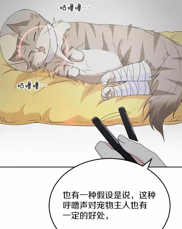 《你好？兽医先生！》62.动物的信号 第11页