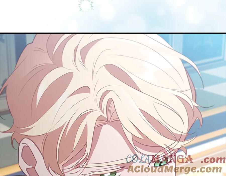 奶萌魔力小公主 第184话 人肉护盾 第177页