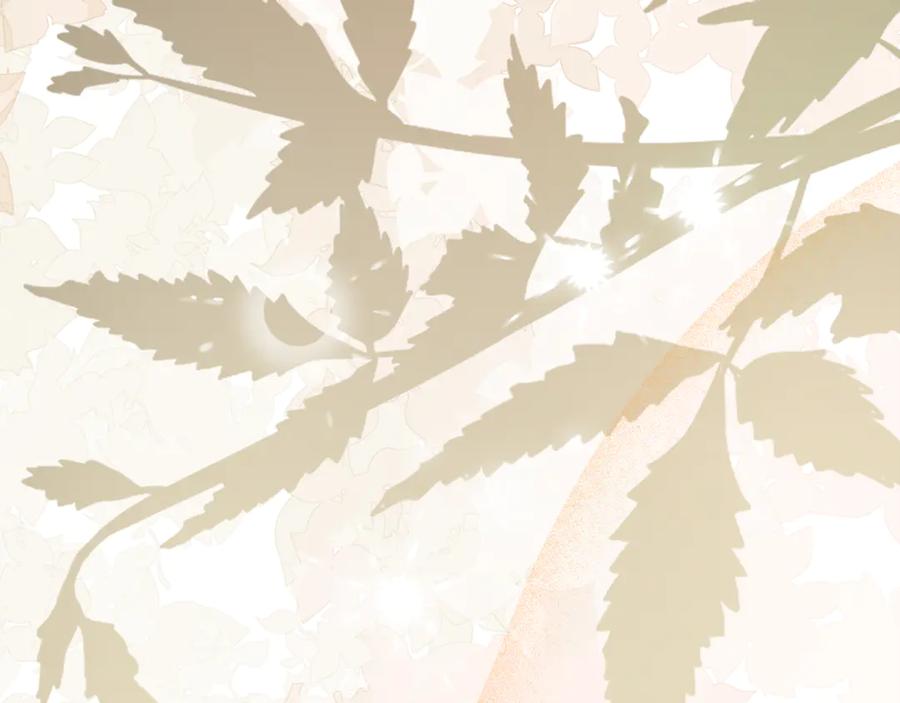 恶女的王座 第225话 做个了结 第10页