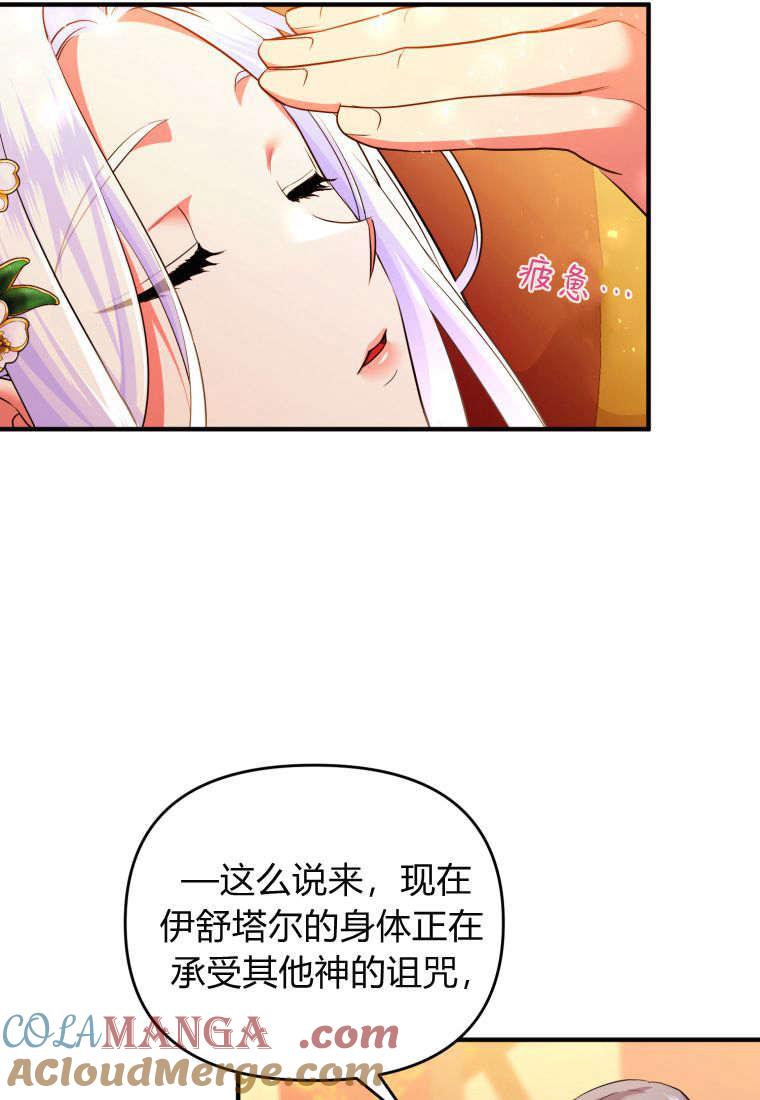 成为苏尔坦珍爱的猫咪 第48话 第40页
