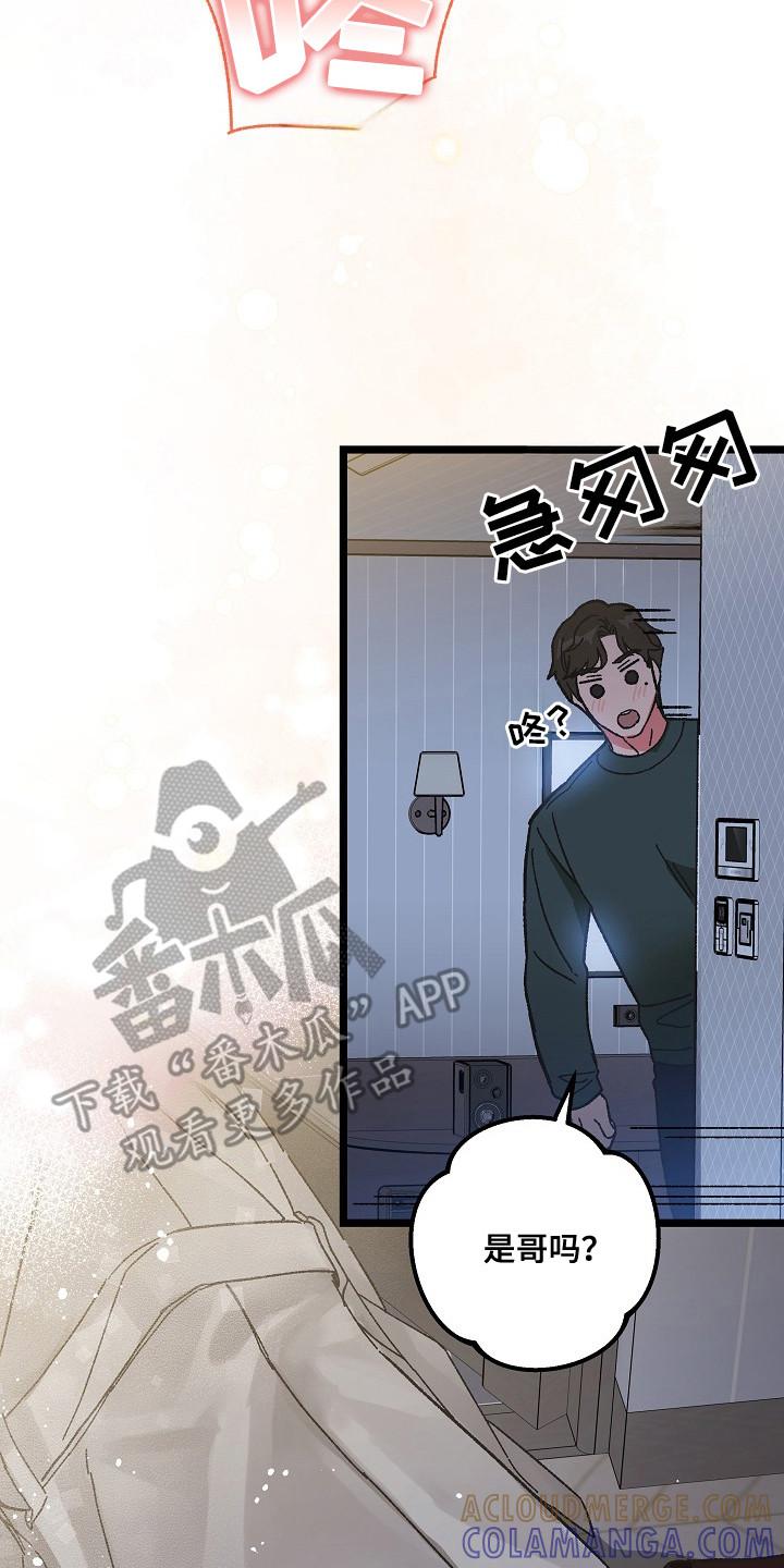 越界的贝塔 - 第7章：醉醺醺 - 第17张图