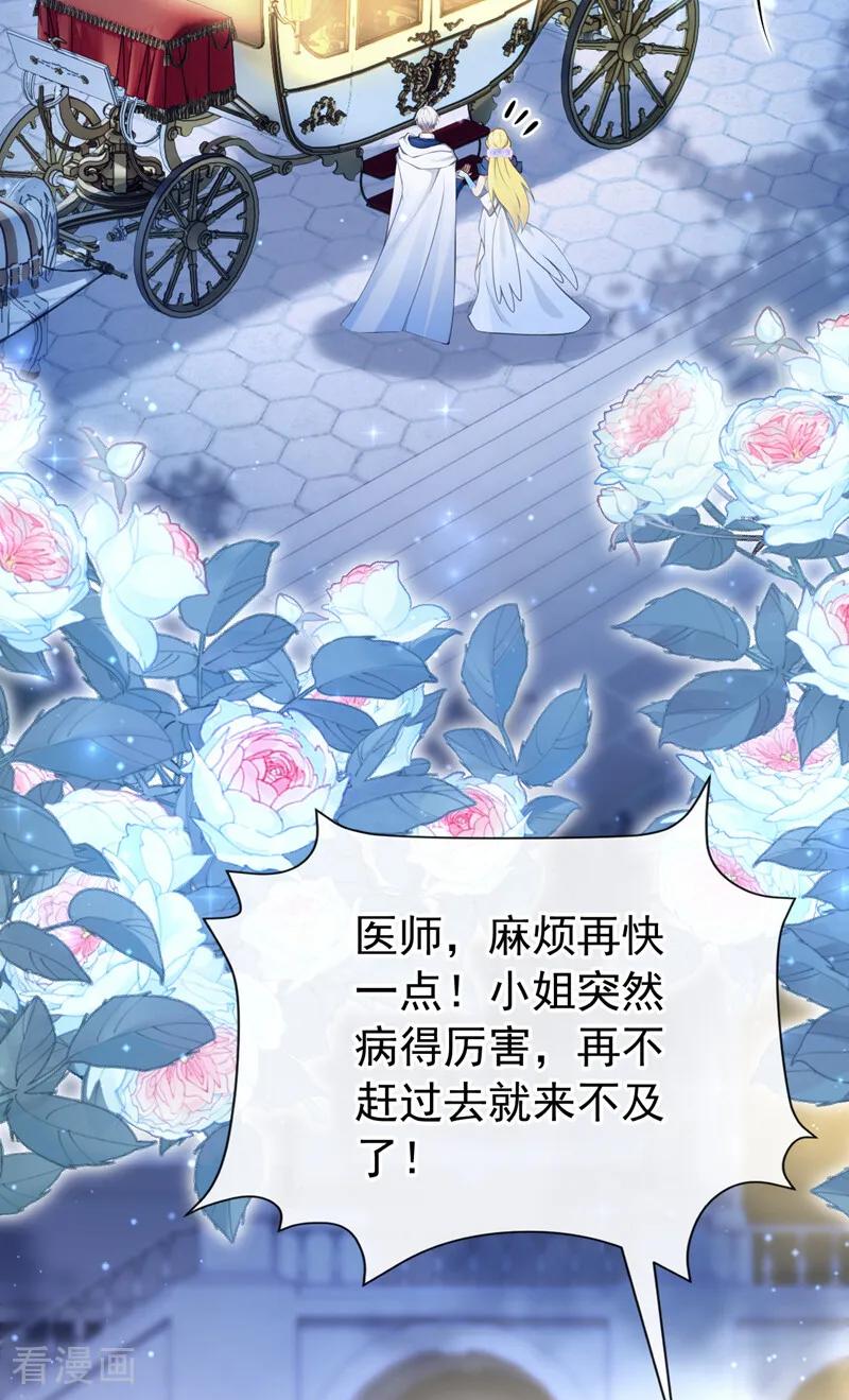 《让出天赋后，我成了魔法界团宠》第43话 请您救救小姐 第23页
