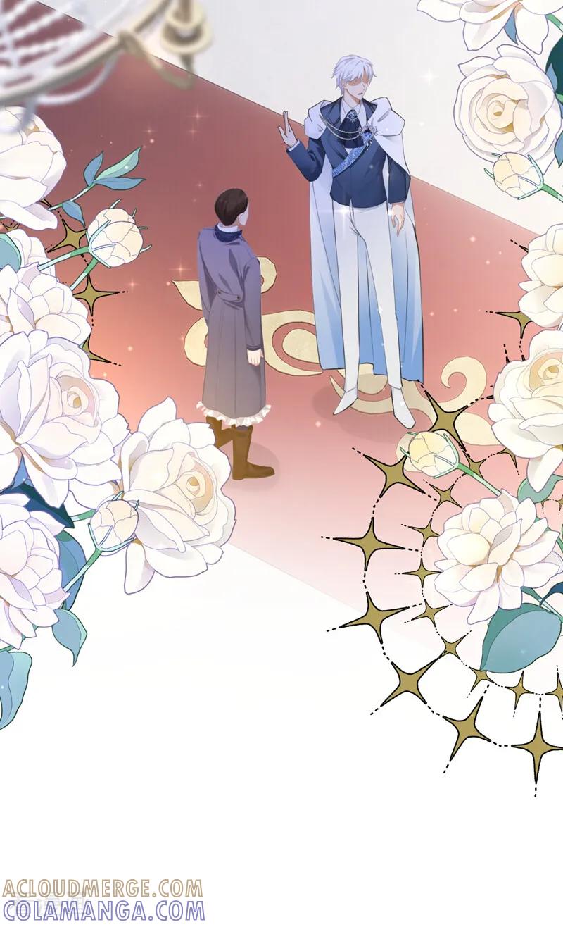 《让出天赋后，我成了魔法界团宠》第43话 请您救救小姐 第13页