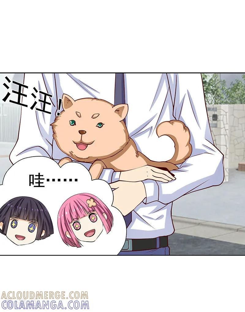 《总裁的追妻实录》第47话 第7页