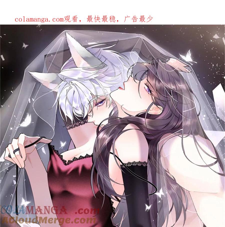 《白天被逃婚晚上被奶凶指挥官求抱》37 是我赢了 第1页