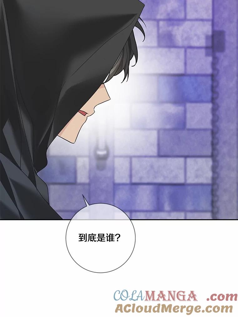《龙套大公子妃的花路人生》42.绑架 第85页