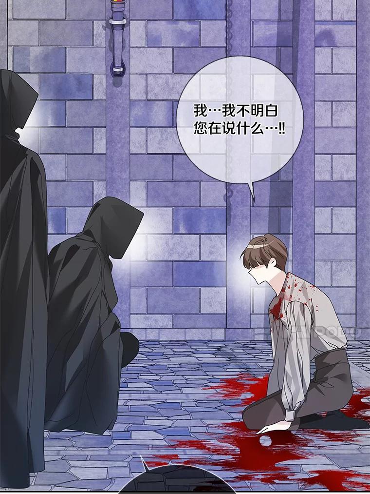 《龙套大公子妃的花路人生》42.绑架 第87页