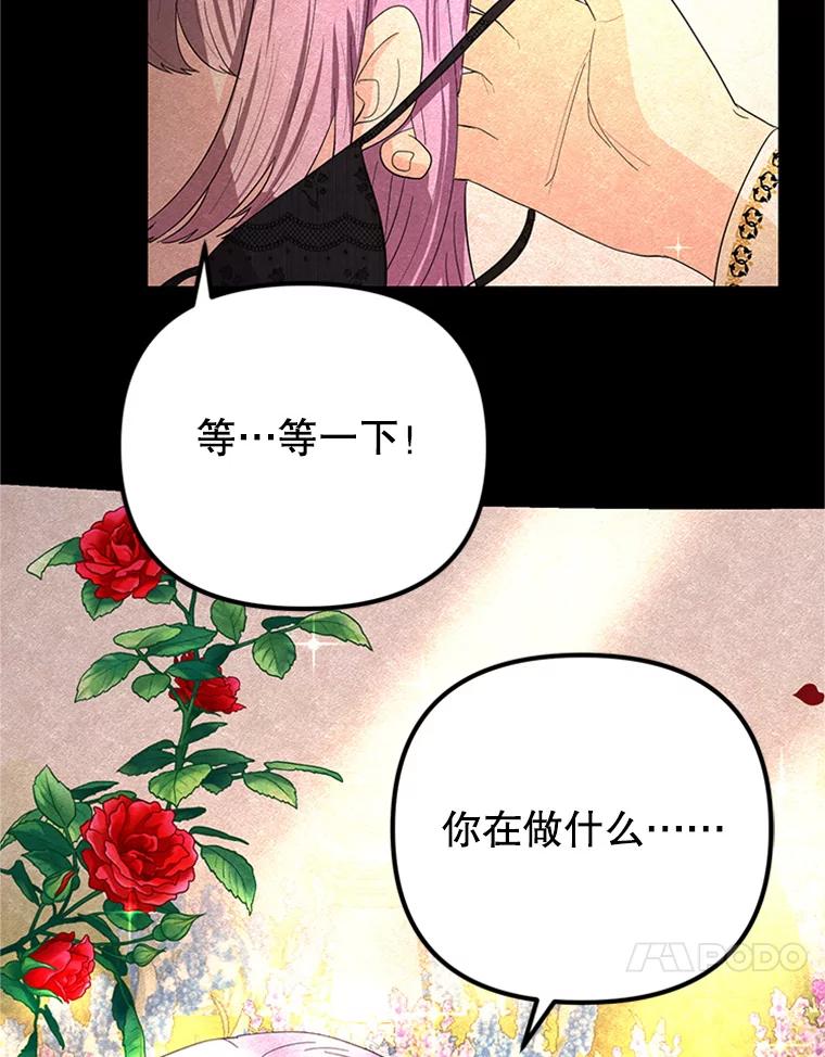 《反派也是万人迷》66.意外 第17页