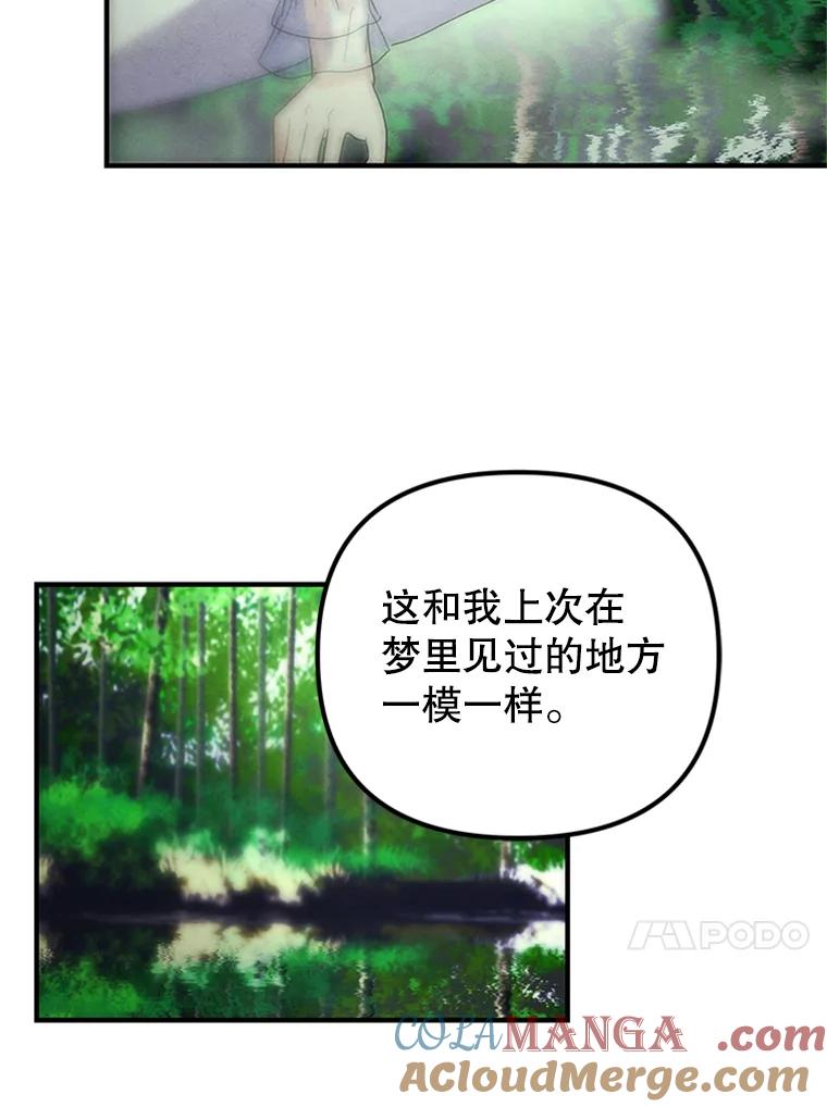 《反派也是万人迷》76.梦境 第45页